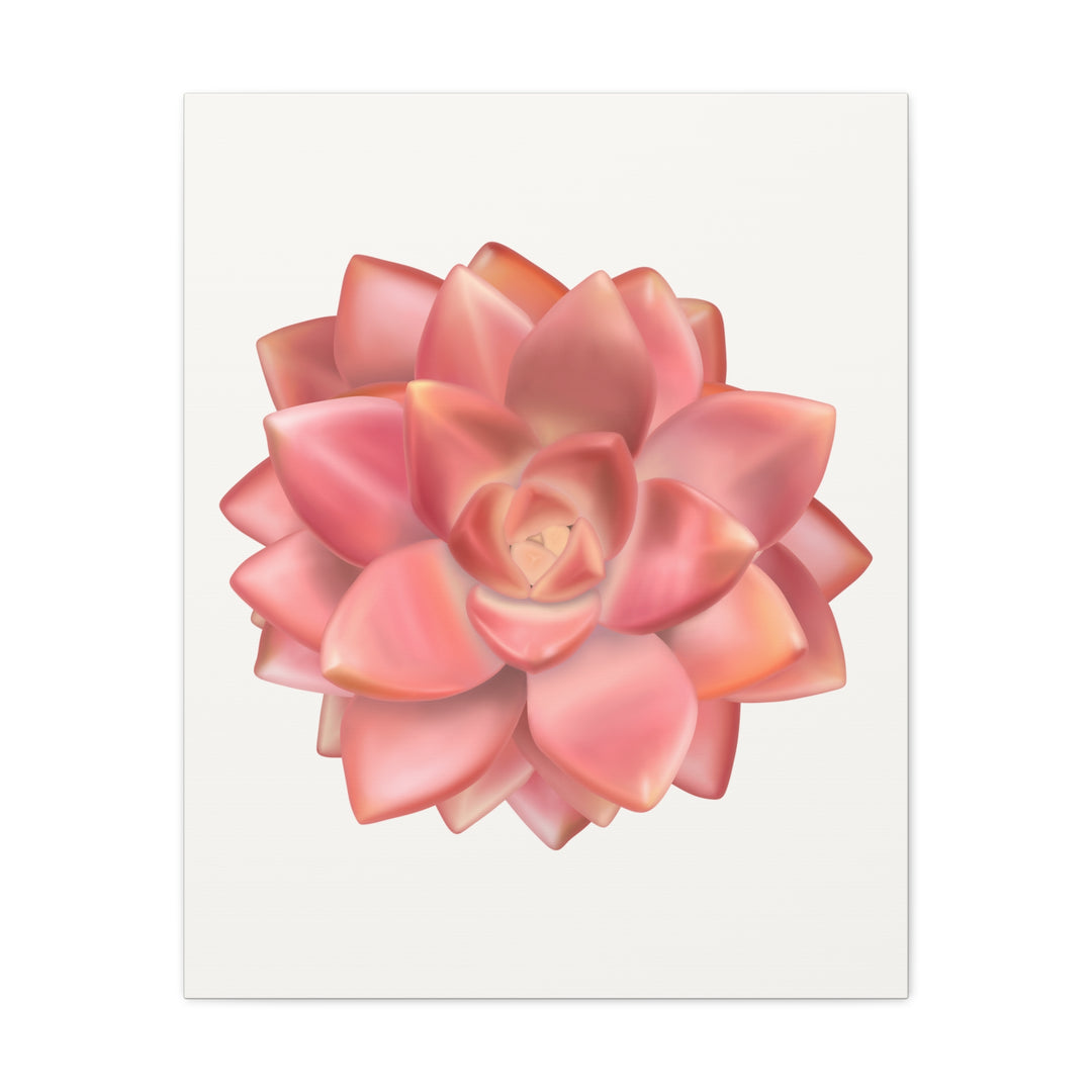 Succulent Canvas Art California Sunset Rosette Botanical Wall Art Print The Potted Pixel