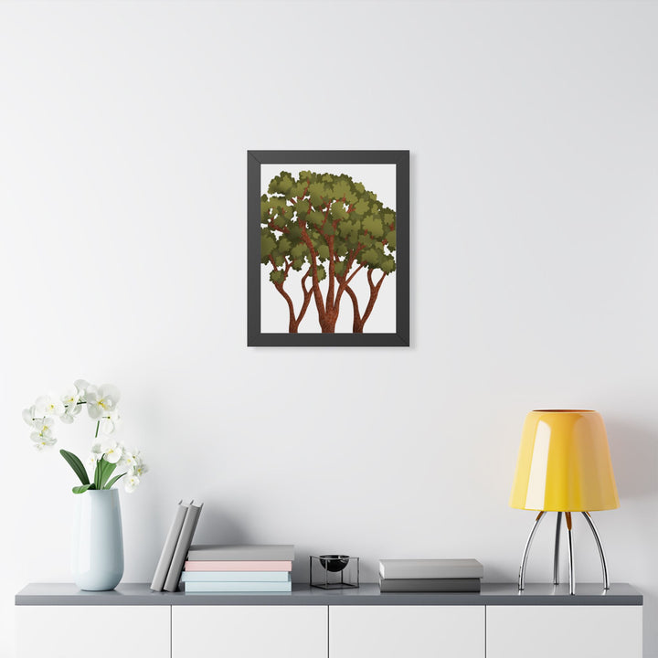 Pacific Madrone Framed Print – Wall Art