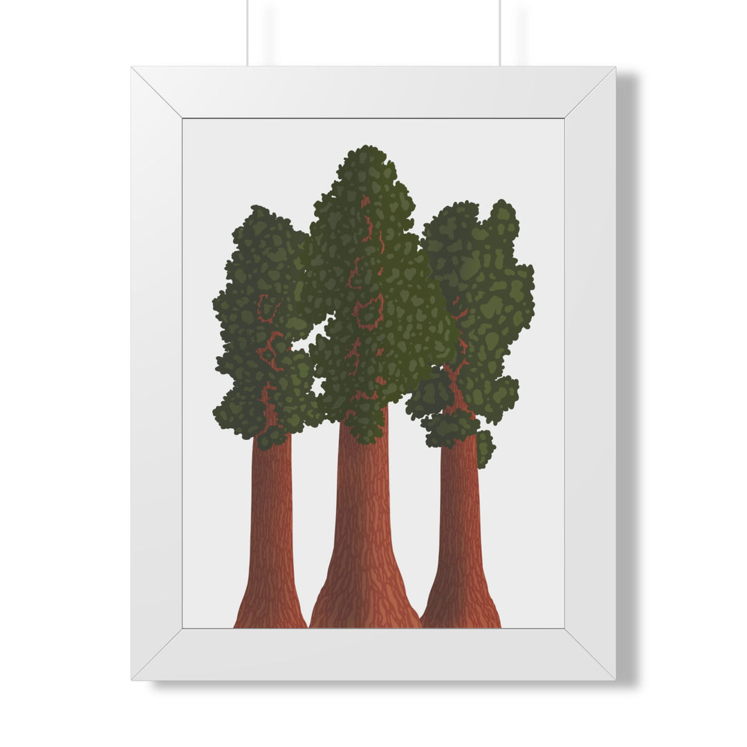 Giant Sequoias Framed Print – Wall Art