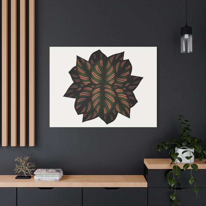 Calathea Pinstripe Canvas Botanical Wall Art Print On Stretched Cotton Canvas For Living Room Decor
