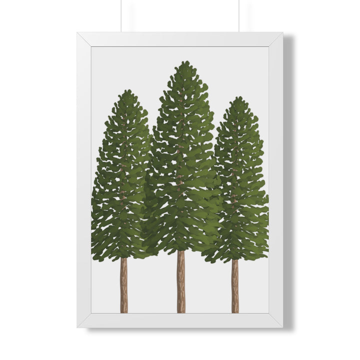 Ponderosa Pine Framed Print – Wall Art