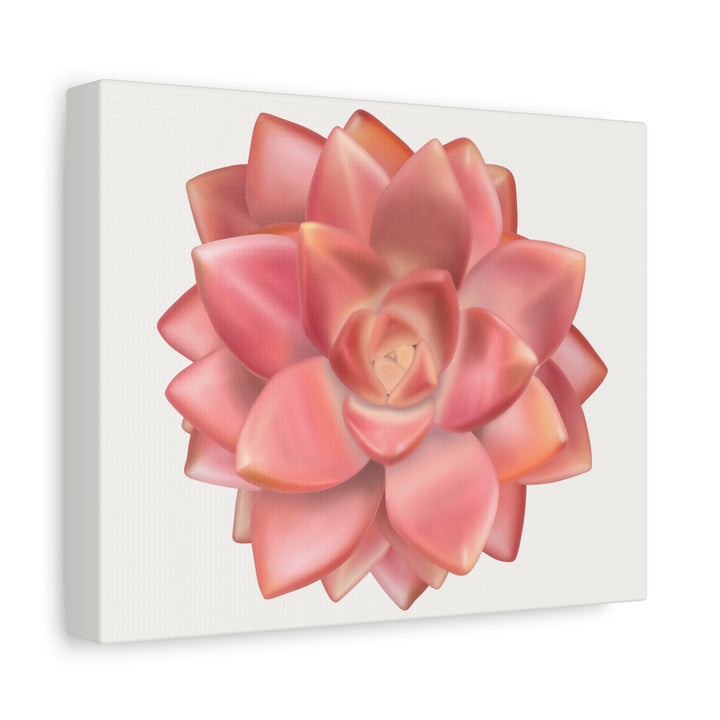 Succulent Canvas Art California Sunset Rosette Botanical Wall Art Print The Potted Pixel