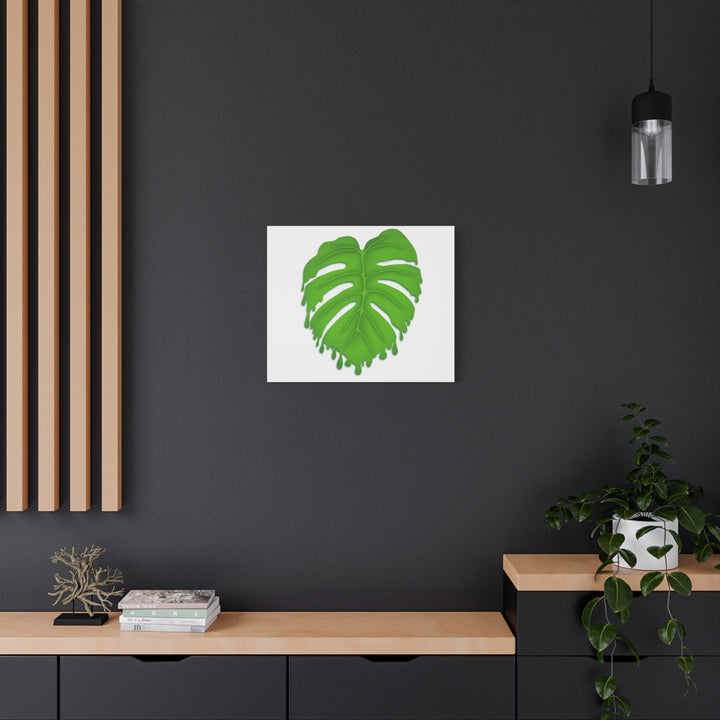 Melting Monstera Canvas Wall Art Large Botanical Print On Premium Cotton With Matte Finish For Indoor Decor