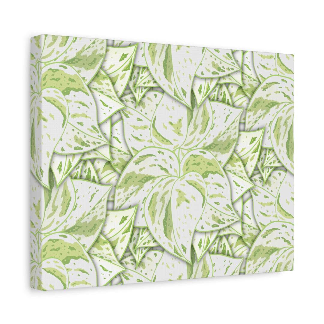 Snow Queen Pothos Canvas Print With Variegated White Leaves In Matte Finish For Modern Home Decor