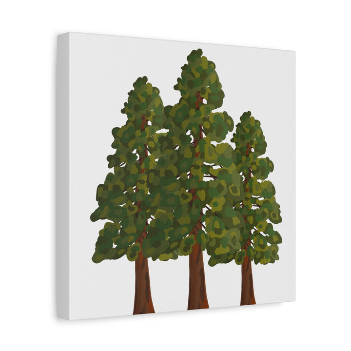 Coastal Redwoods Matte Canvas Print On 1.25 Inch Stretched Canvas For Serene Forest Wall Art In Living Rooms