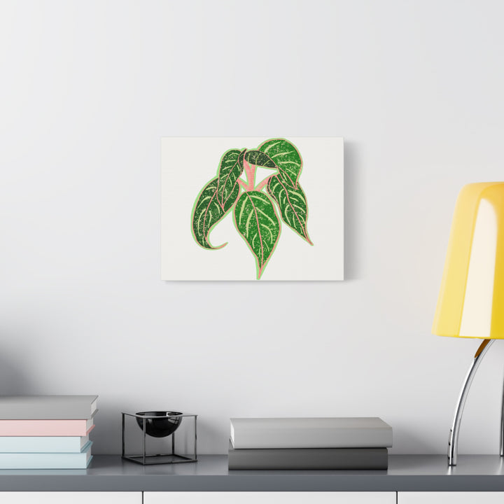 Aglaonema Sparkling Sarah Botanical Canvas Print On Matte Stretch Canvas For Modern Living Room Decor