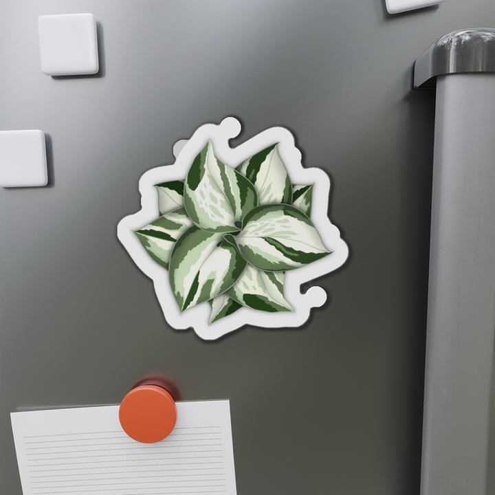 Manjula Pothos Magnet
