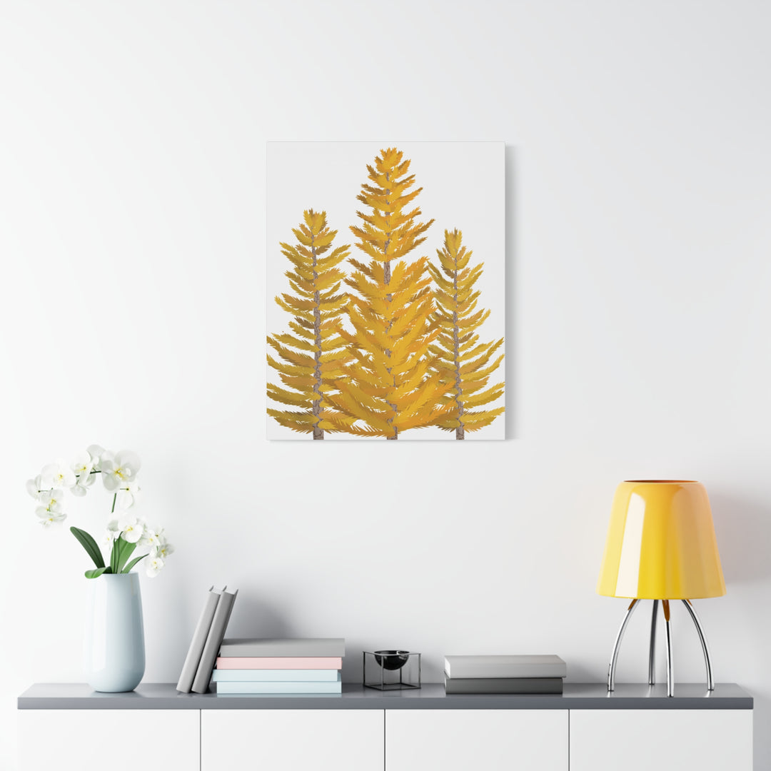 Western Larch Canvas Print – Wall Art