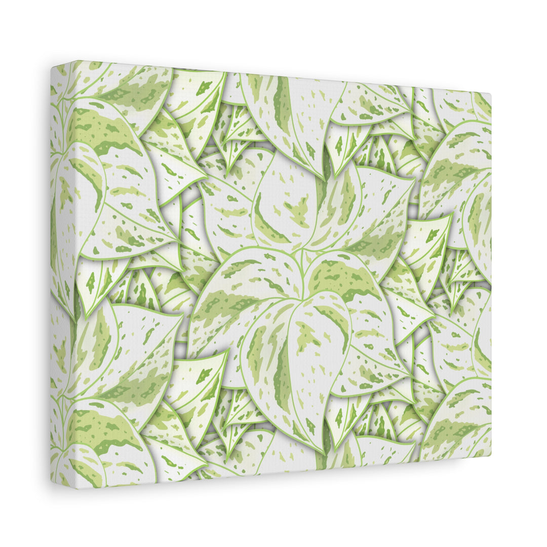 Snow Queen Pothos Canvas Print With Variegated White Leaves In Matte Finish For Modern Home Decor