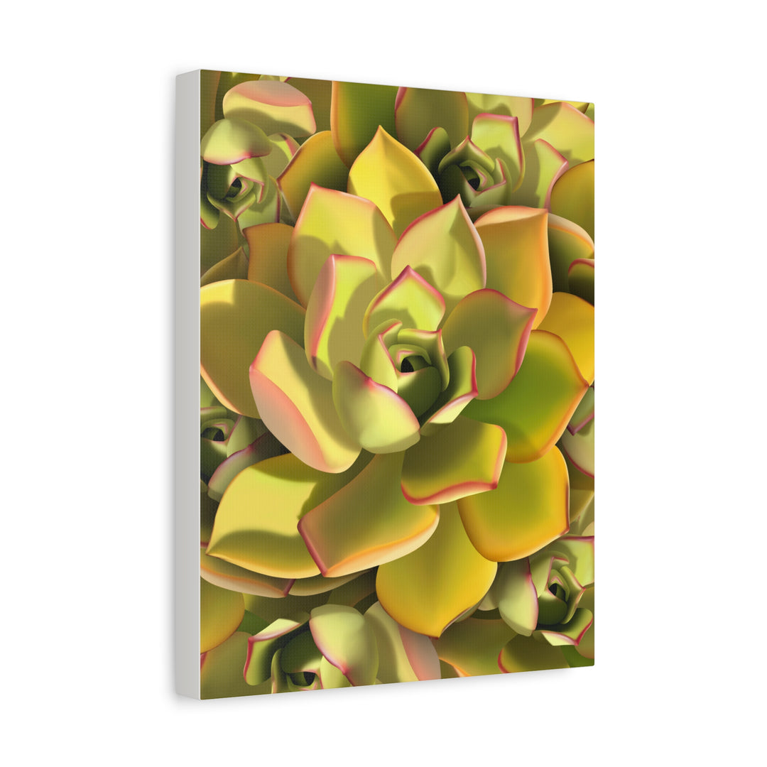 Succulent Canvas Art Vibrant Aeonium Print On Matte Canvas Wall Decor 12x18 Inches Indoor Home