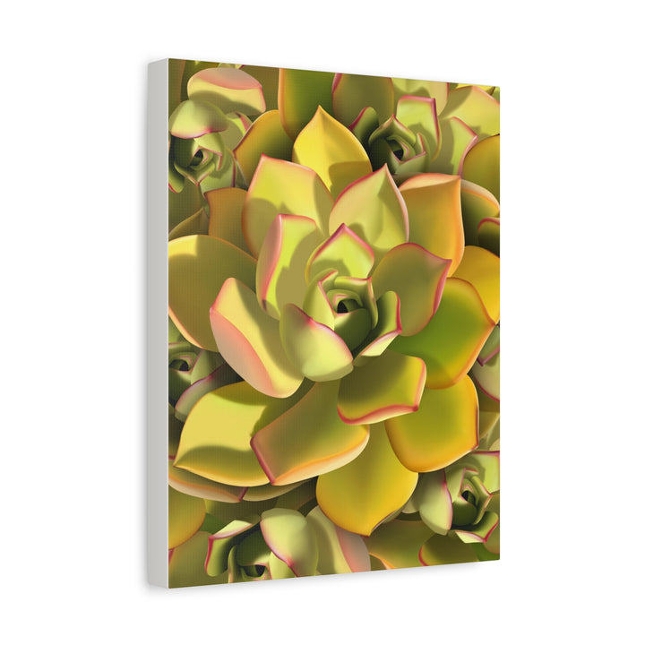 Succulent Canvas Art Vibrant Aeonium Print On Matte Canvas Wall Decor 12x18 Inches Indoor Home