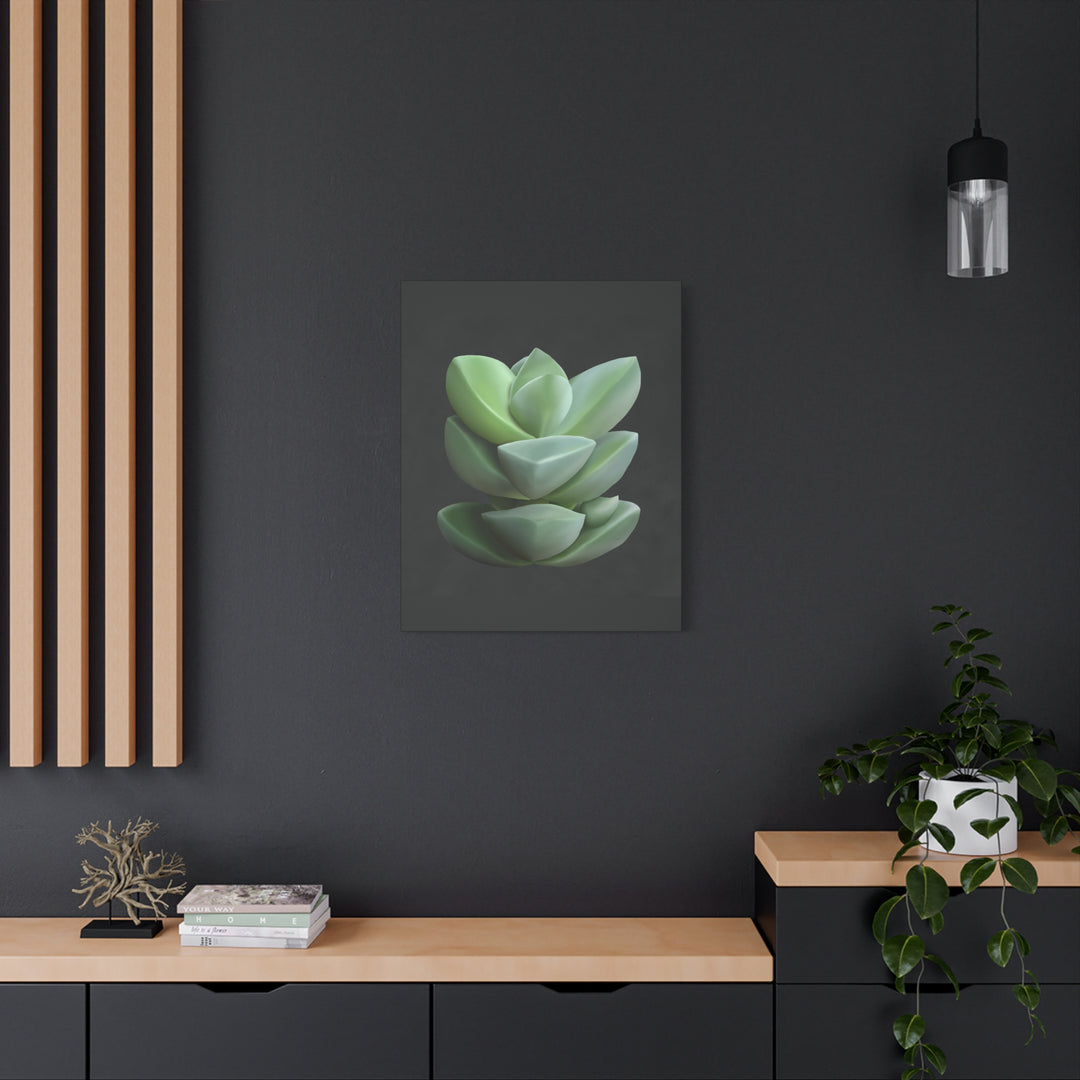 Crassula Canvas Print – Botanical Wall Art