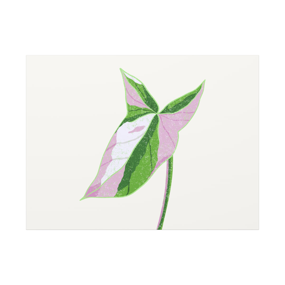 Syngonium Tricolor Canvas Print – Botanical Wall Art - The Potted Pixel