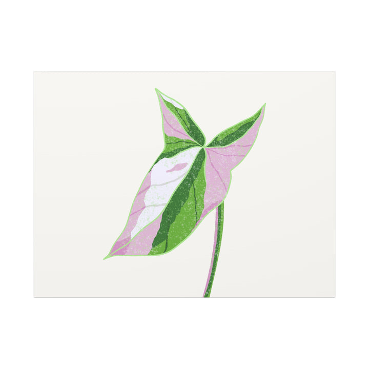 Syngonium Tricolor Canvas Print – Botanical Wall Art - The Potted Pixel