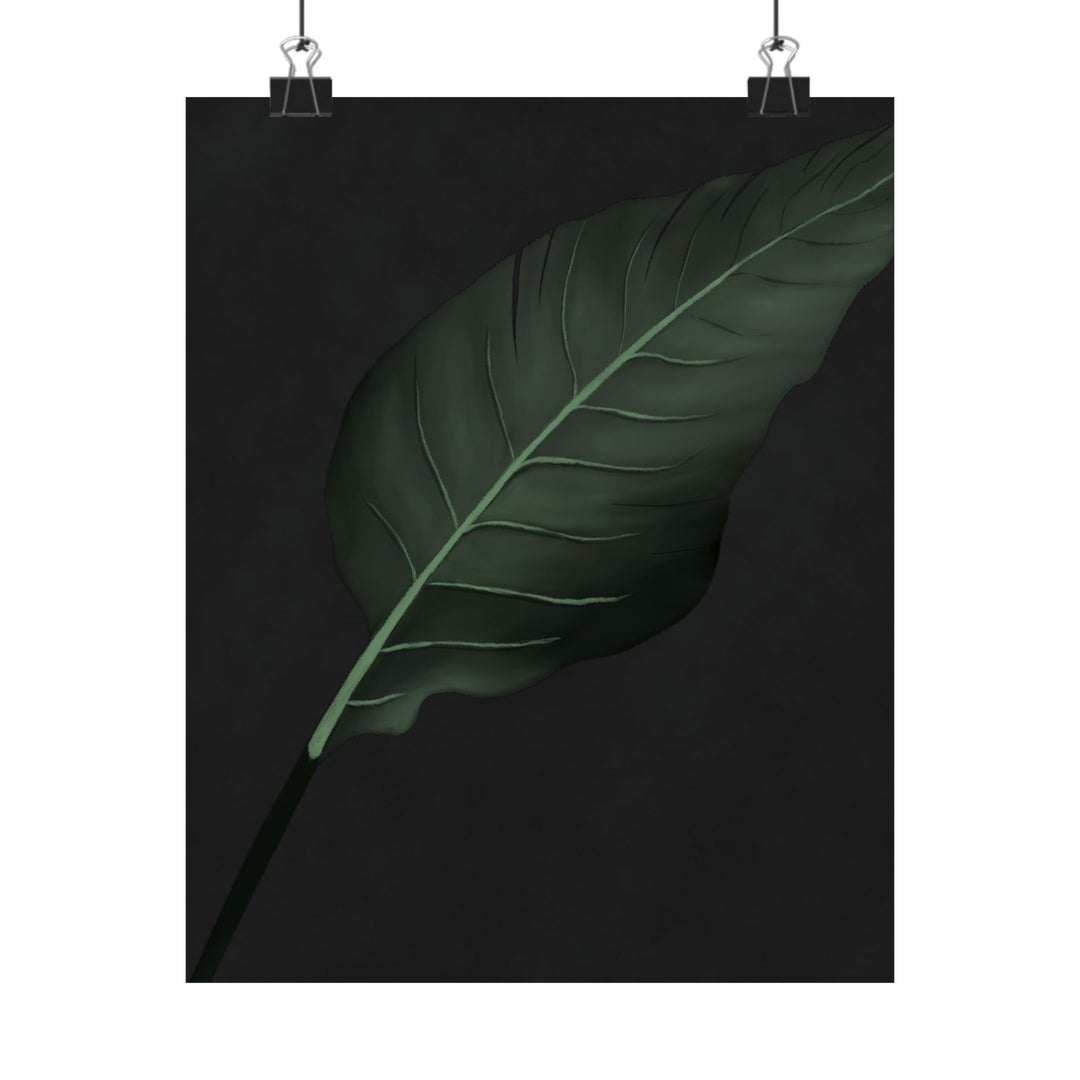 Bird of Paradise Botanical Print – Unframed Wall Art