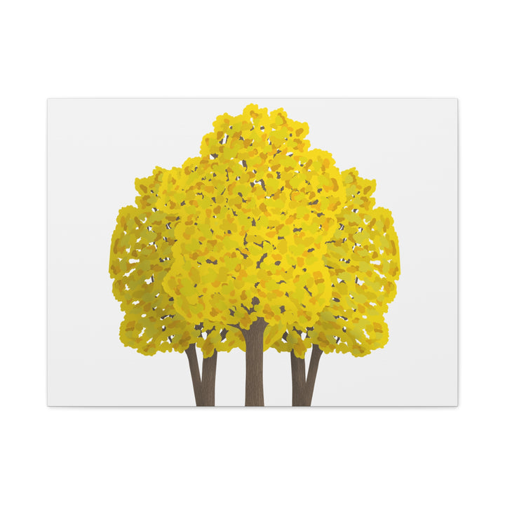 Big Leaf Maple Canvas Print – Wall Art
