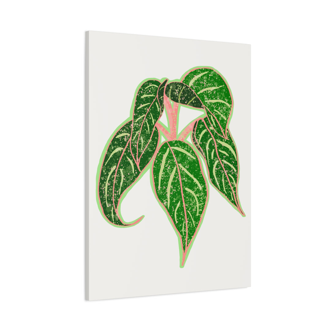 Aglaonema Sparkling Sarah Botanical Canvas Print On Matte Stretch Canvas For Modern Living Room Decor