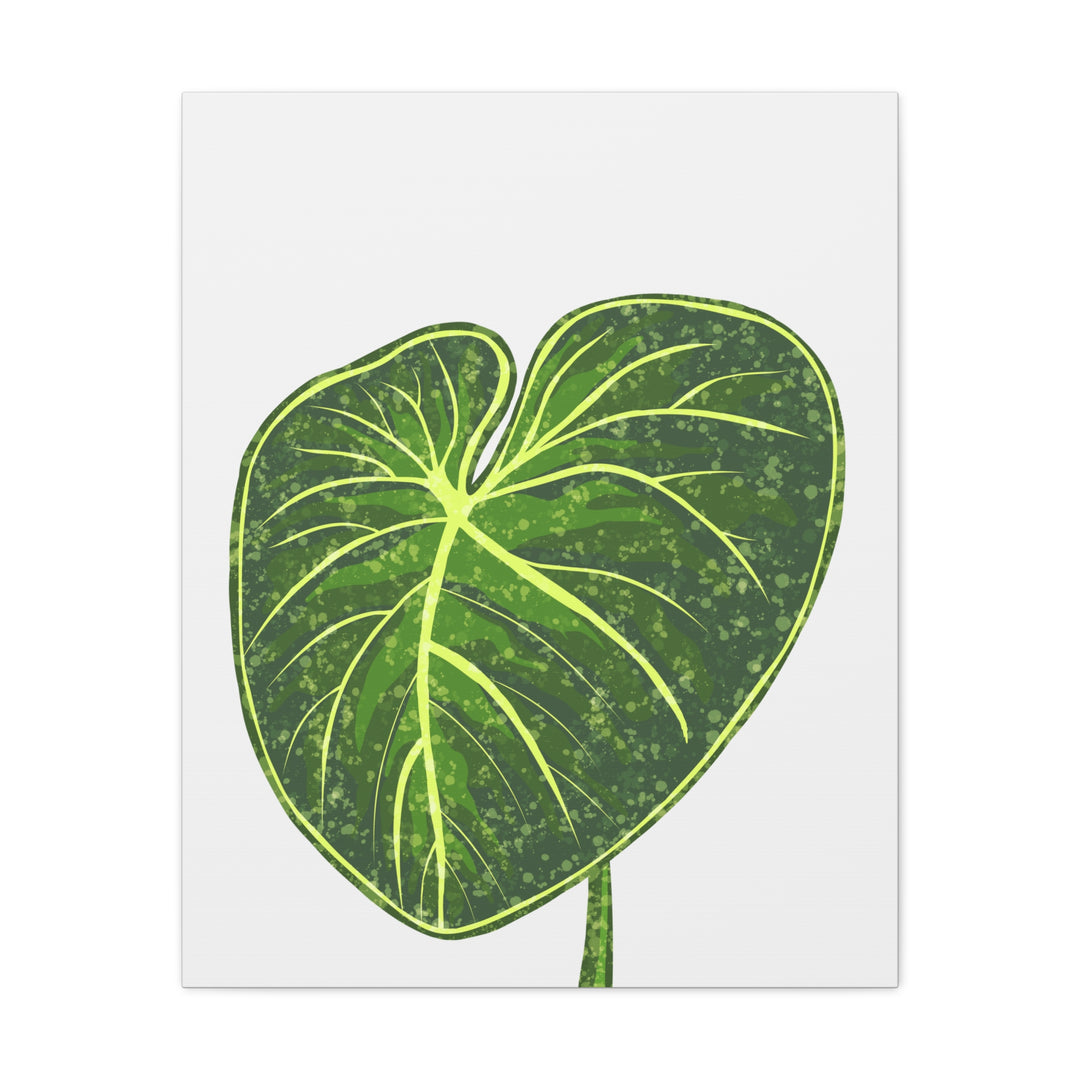 Philodendron Gloriosum Canvas Print Stretched Wall Art Botanical Leaf Print Matte Finish Gallery Wrapped Canvas