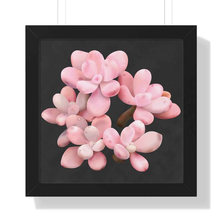 Pink Moonstone Succulent Framed Poster Vertical Botanical Wall Art
