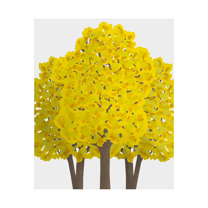 Big Leaf Maple Print – Unframed Wall Art