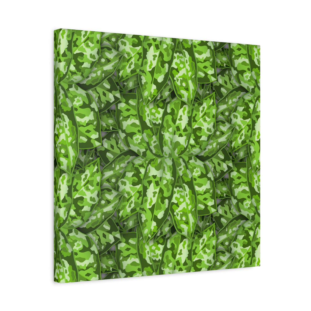 Aglaonema Pictum Canvas Wall Art Rare Plant Print Matte Finish For Modern Home Decor