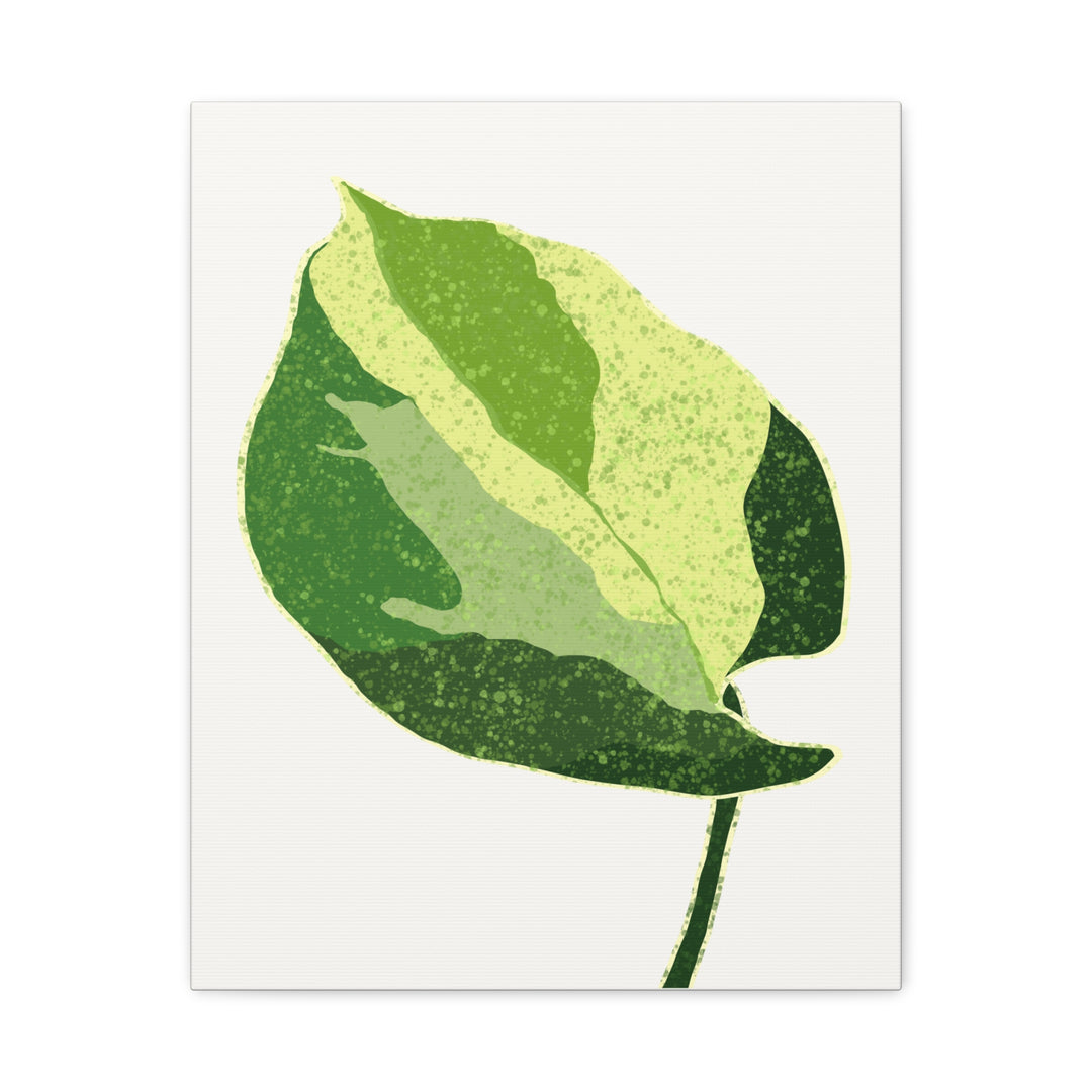 Manjula Pothos Botanical Canvas Print Matte Finish Stretched Canvas Wall Art 1.25 Inch Depth