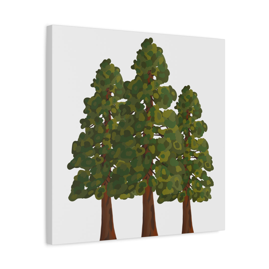 Coastal Redwoods Matte Canvas Print On 1.25 Inch Stretched Canvas For Serene Forest Wall Art In Living Rooms