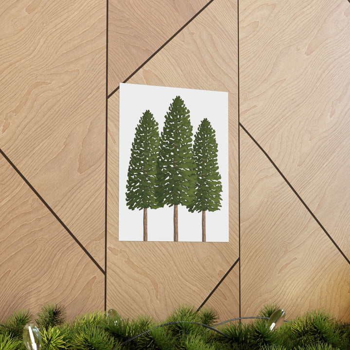 Ponderosa Pine Print – Unframed Wall Art