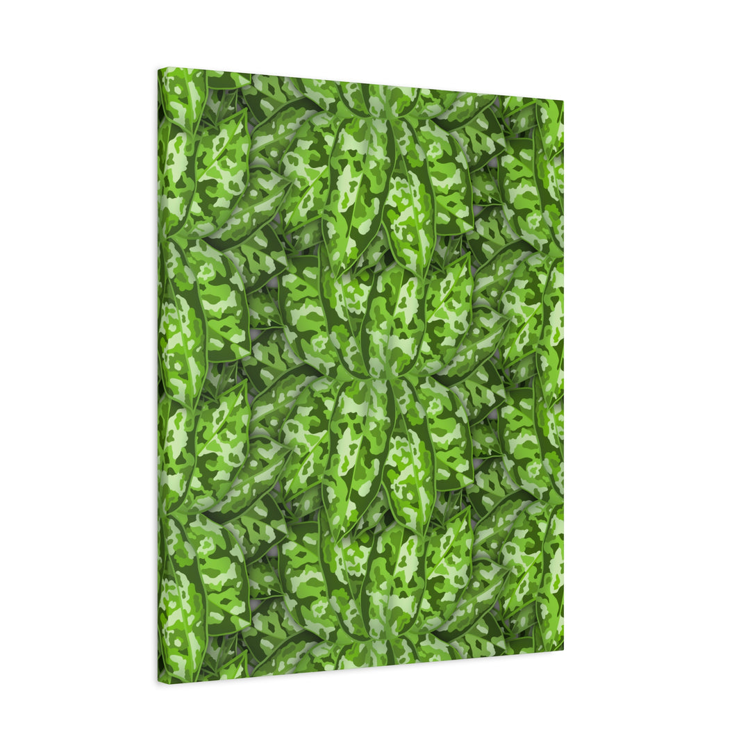 Aglaonema Pictum Canvas Wall Art Rare Plant Print Matte Finish For Modern Home Decor