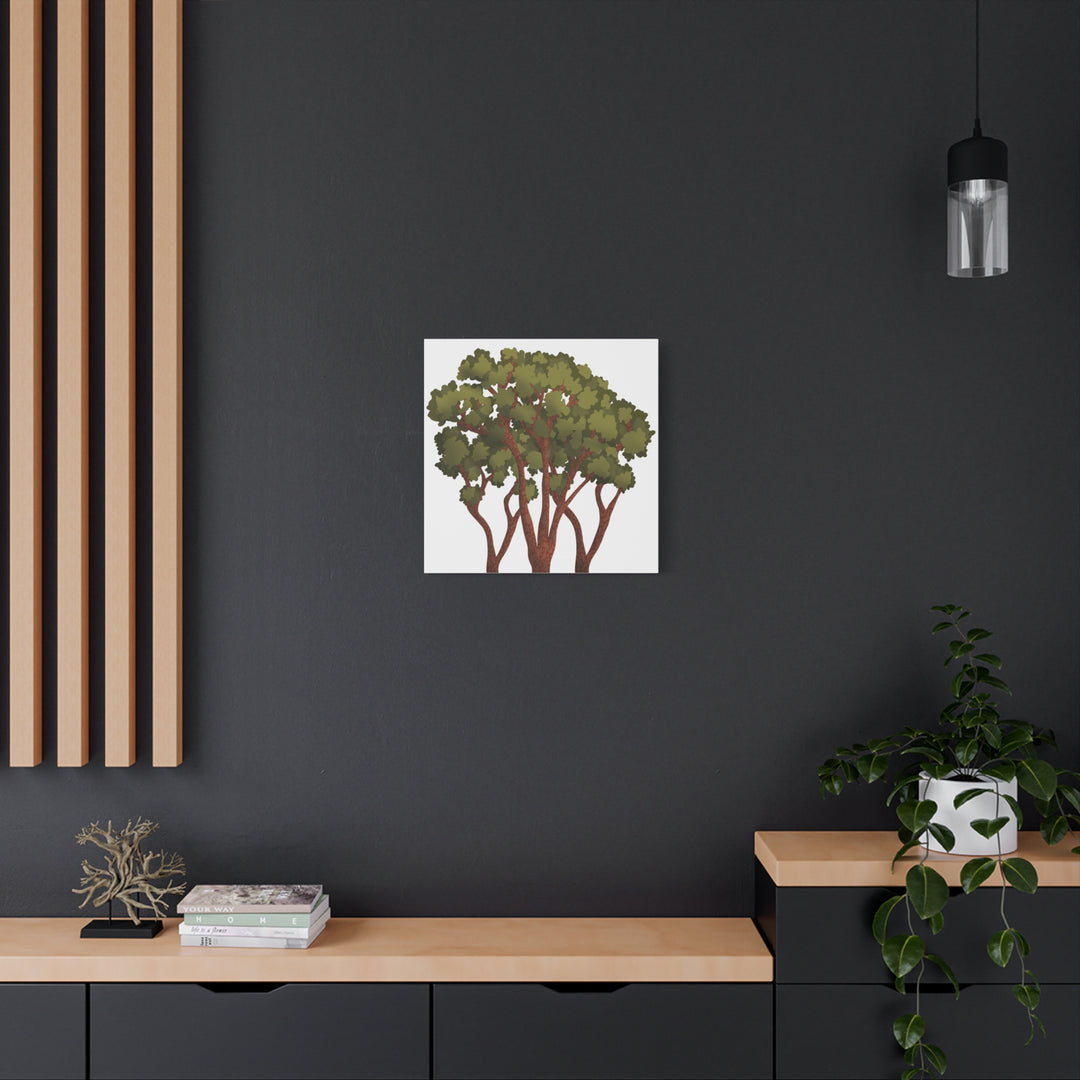 Pacific Madrone Canvas Print – Wall Art