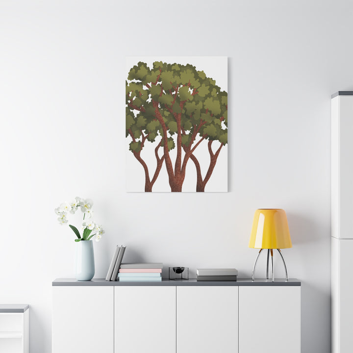 Pacific Madrone Canvas Print – Wall Art