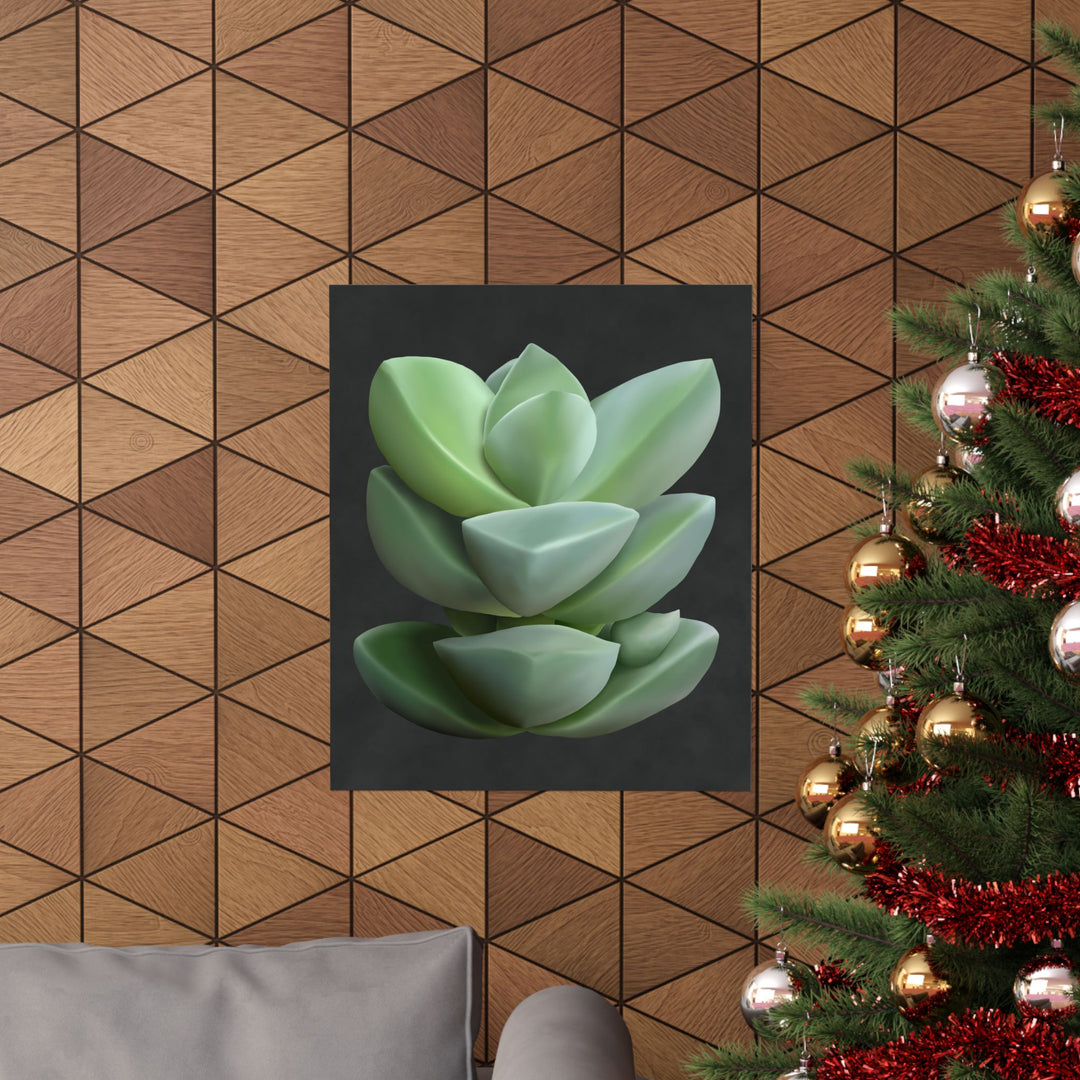 Crassula Botanical Print – Unframed Wall Art