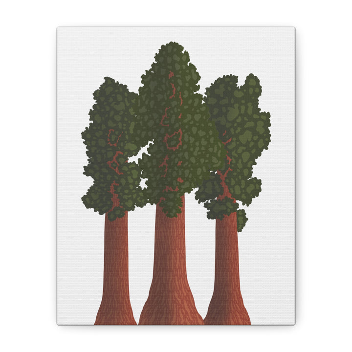 Giant Sequoias Canvas Print – Wall Art