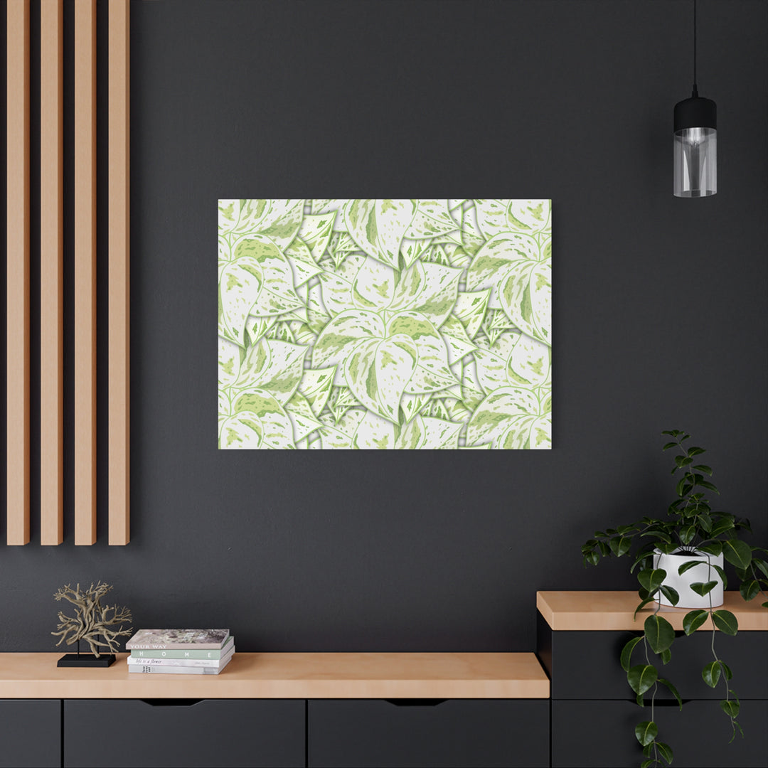Snow Queen Pothos Canvas Print With Variegated White Leaves In Matte Finish For Modern Home Decor