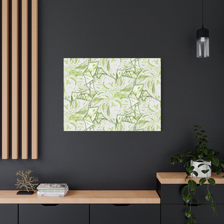 Snow Queen Pothos Canvas Print With Variegated White Leaves In Matte Finish For Modern Home Decor