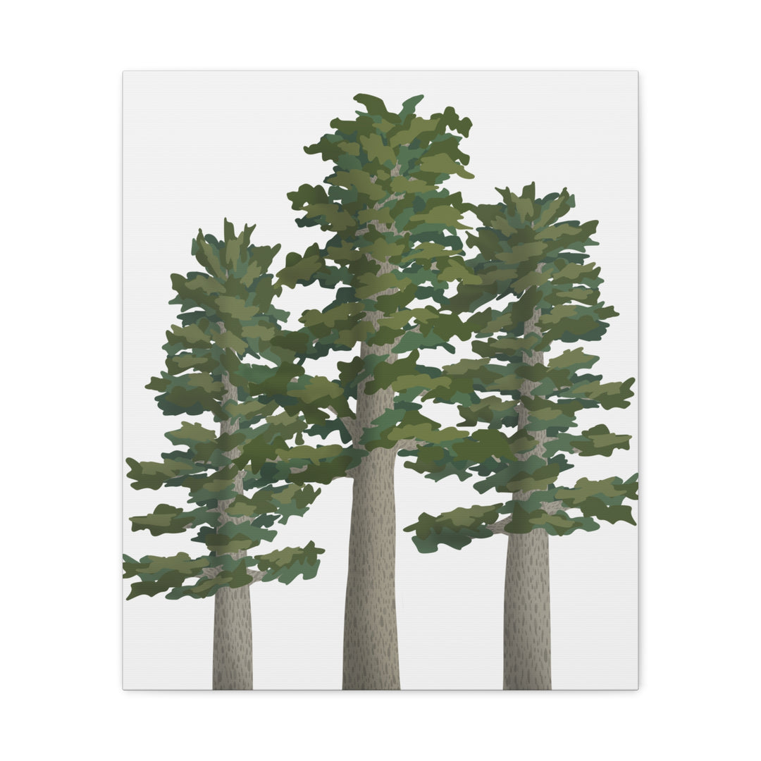 Sitka Spruce Canvas Print – Wall Art