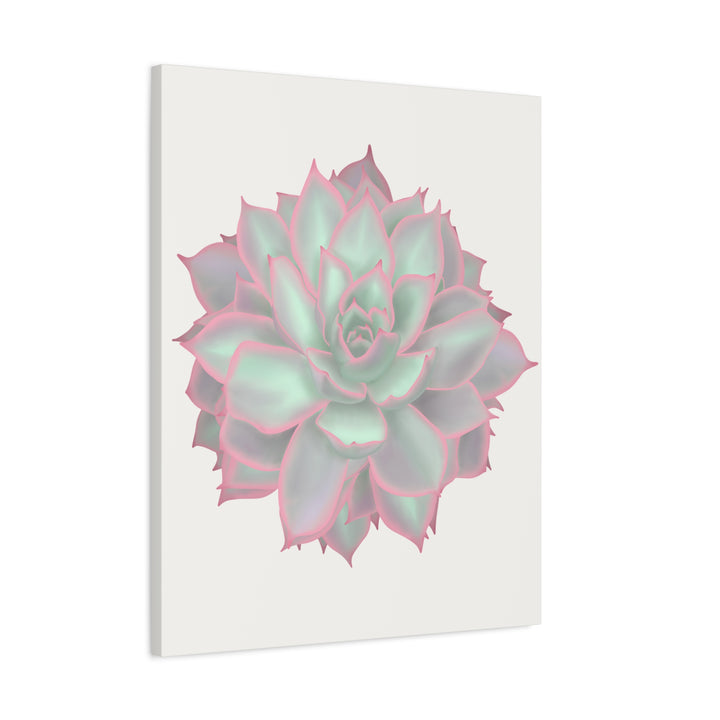 Echeveria Violet Queen Canvas Wall Art Rosette Succulent Print With Matte Finish