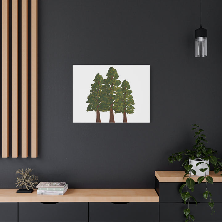 Coastal Redwoods Matte Canvas Print On 1.25 Inch Stretched Canvas For Serene Forest Wall Art In Living Rooms