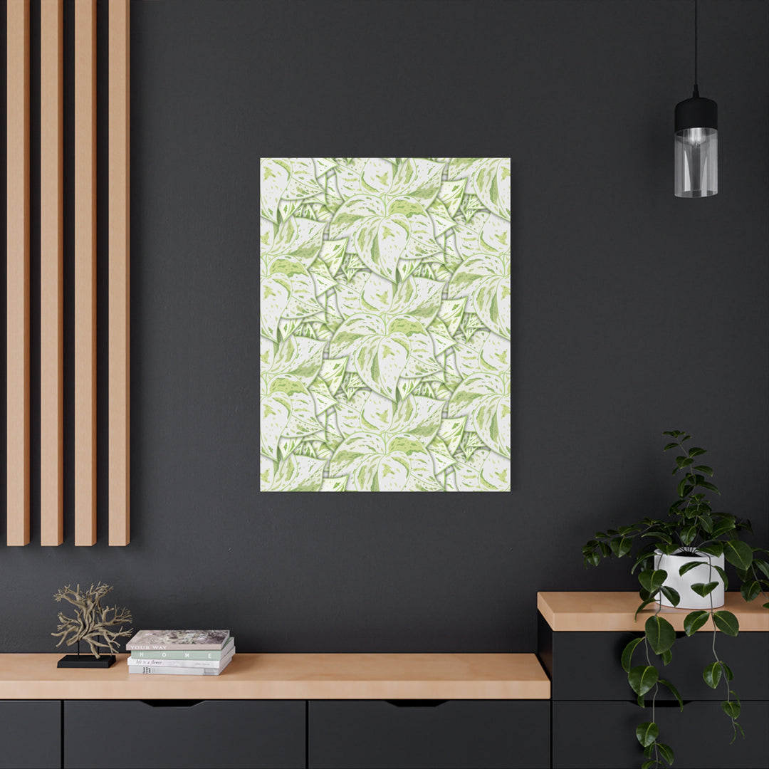 Snow Queen Pothos Canvas Print With Variegated White Leaves In Matte Finish For Modern Home Decor
