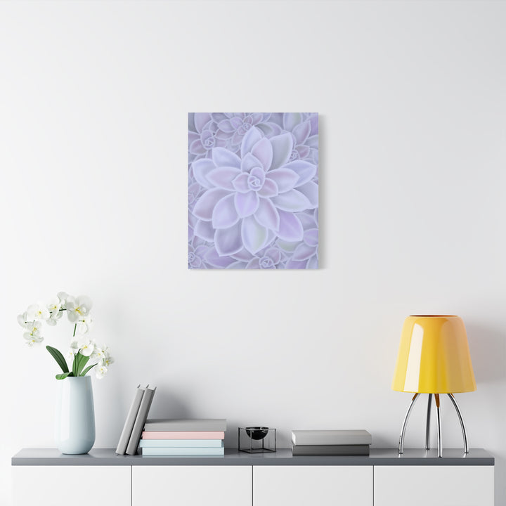 Graptopetalum Murasaki Succulent Canvas Art Print Pastel Purple Rosette Indoor Plant Decor