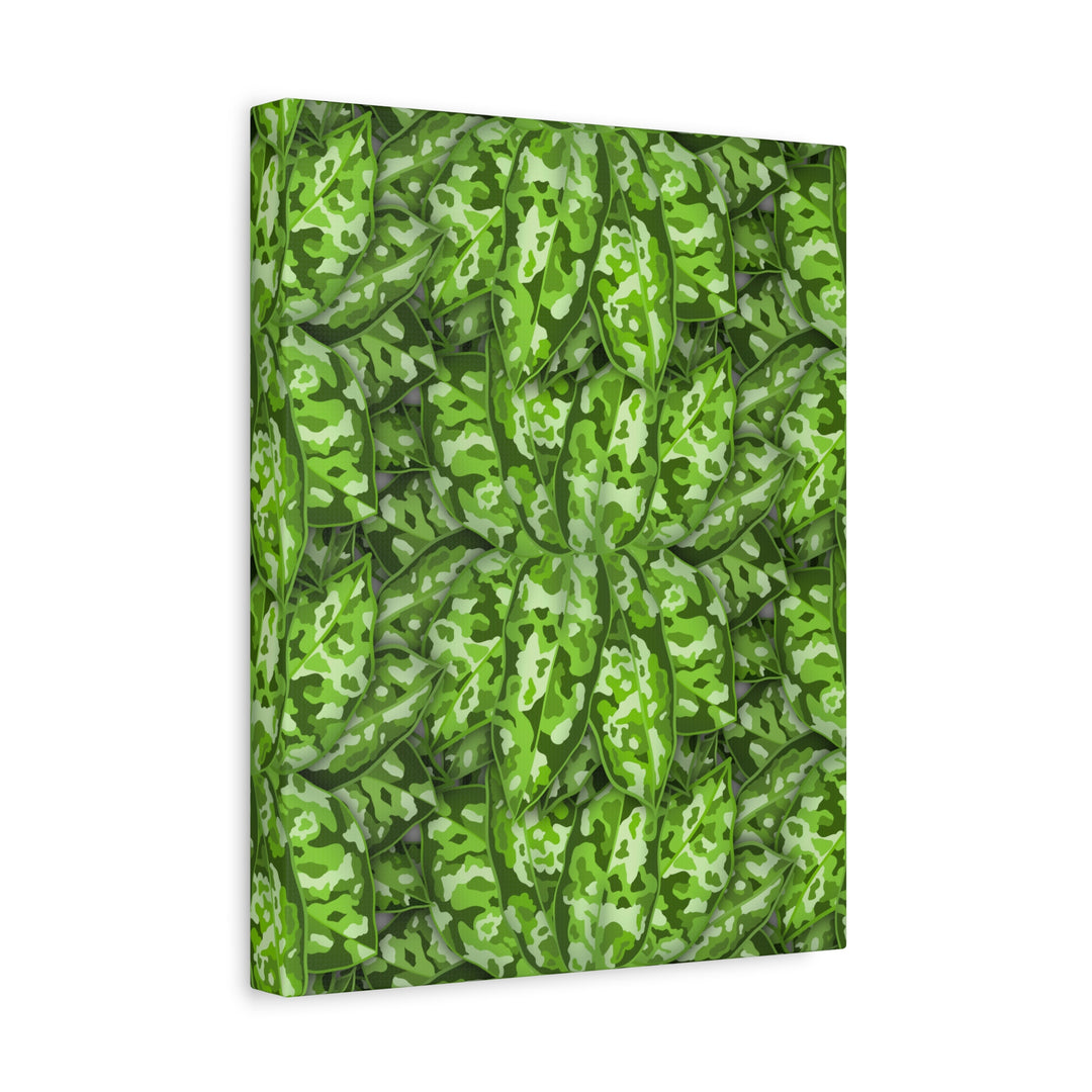 Aglaonema Pictum Canvas Wall Art Rare Plant Print Matte Finish For Modern Home Decor