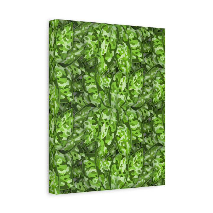 Aglaonema Pictum Canvas Wall Art Rare Plant Print Matte Finish For Modern Home Decor