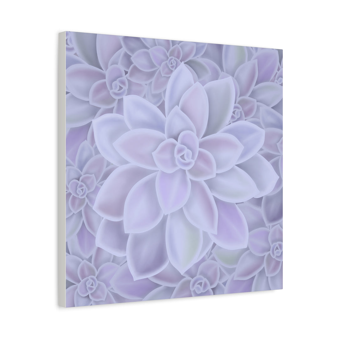 Graptopetalum Murasaki Succulent Canvas Art Print Pastel Purple Rosette Indoor Plant Decor