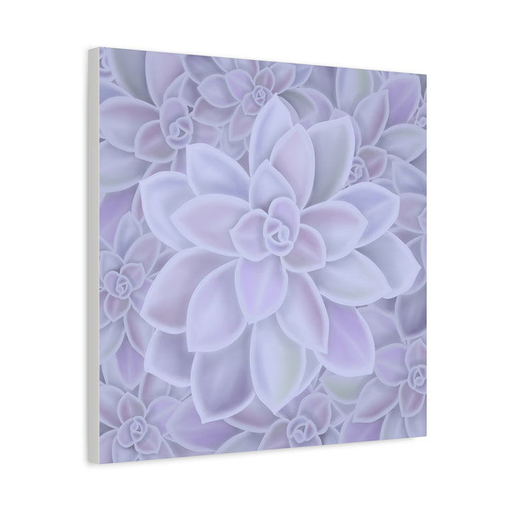 Graptopetalum Murasaki Succulent Canvas Art Print Pastel Purple Rosette Indoor Plant Decor
