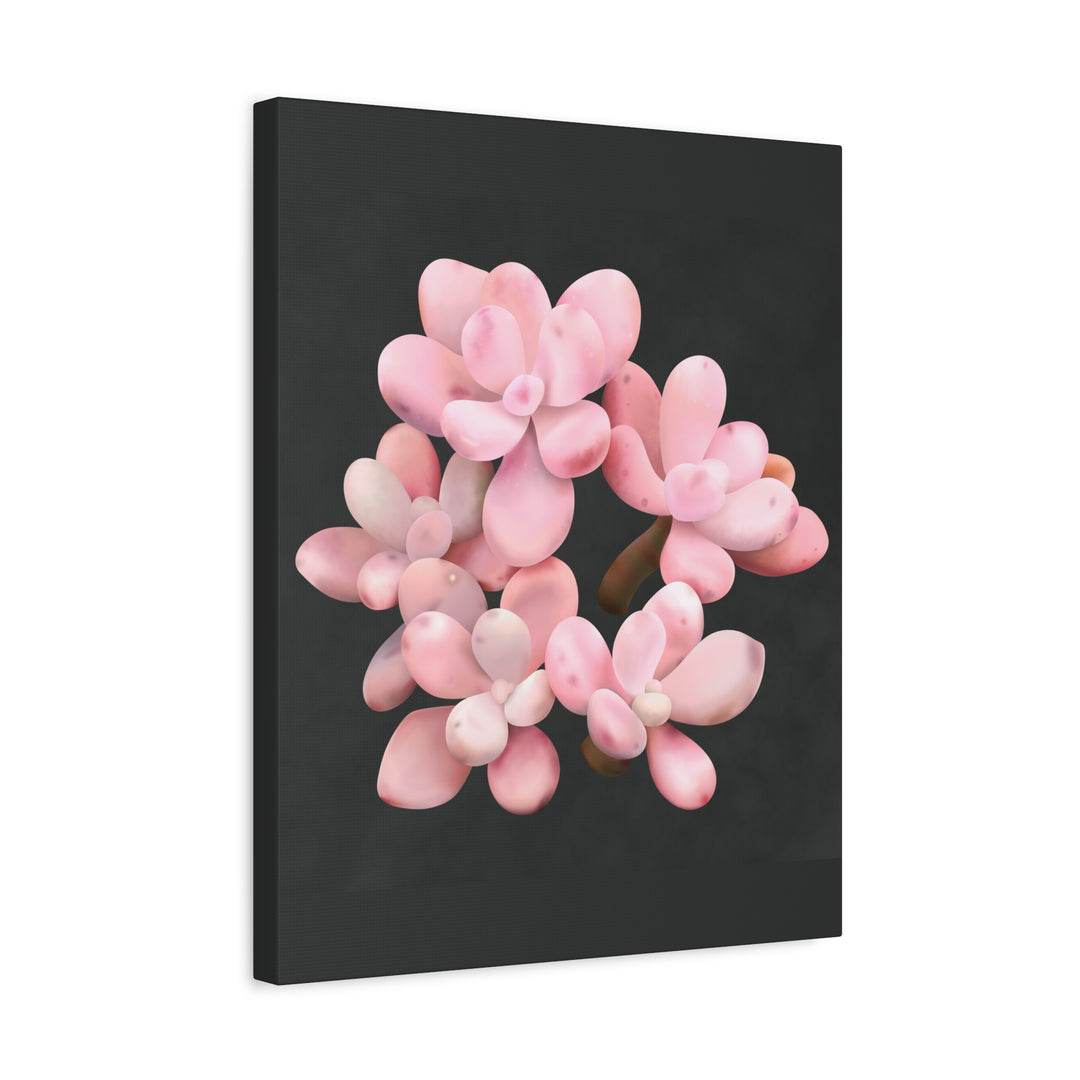Pink Moonstone Canvas Print – Botanical Wall Art