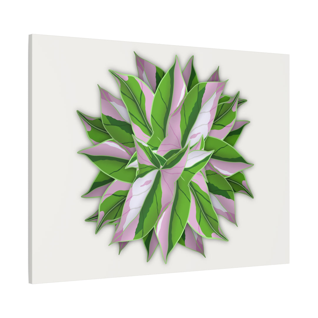 Syngonium Tricolor Canvas Print – Botanical Wall Art - The Potted Pixel