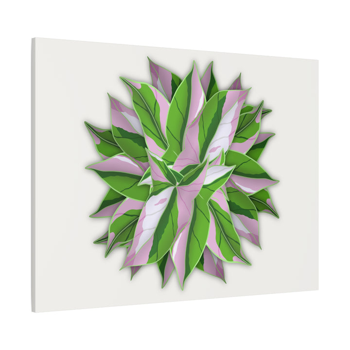 Syngonium Tricolor Canvas Print – Botanical Wall Art - The Potted Pixel
