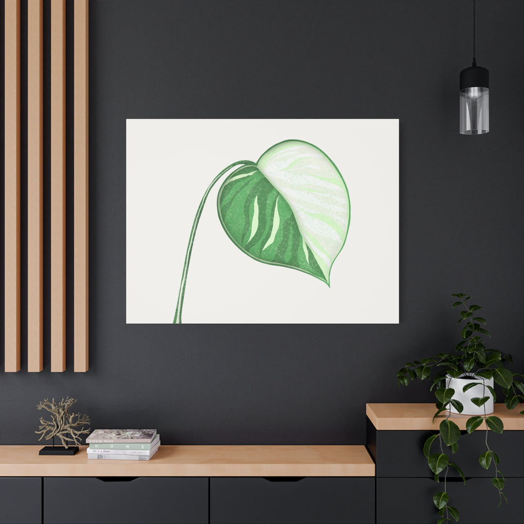 Monstera Albo Canvas Large Stretched Premium Quality Cotton Canvas Wall Art Tropical Leaf Poster Decor