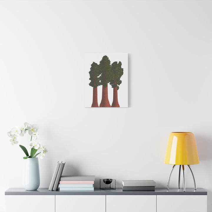Giant Sequoias Canvas Print – Wall Art