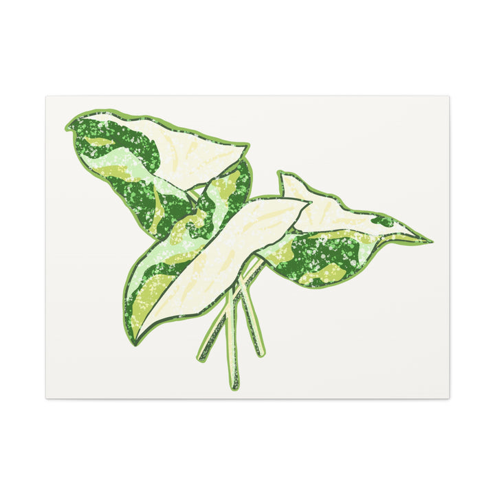 Marble Syngonium Canvas Botanical Wall Art Stretched Print On Durable Cotton Canvas Matte Finish